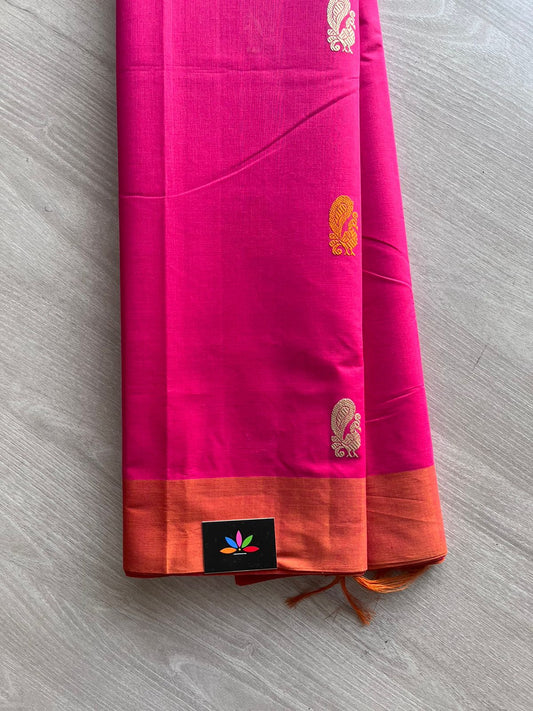 Handwoven Kanchi Cotton Saree -10735