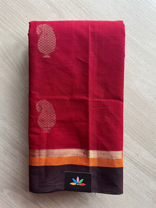 Handloom Fine Cotton Saree with Contrast Pallu and Blouse -26611