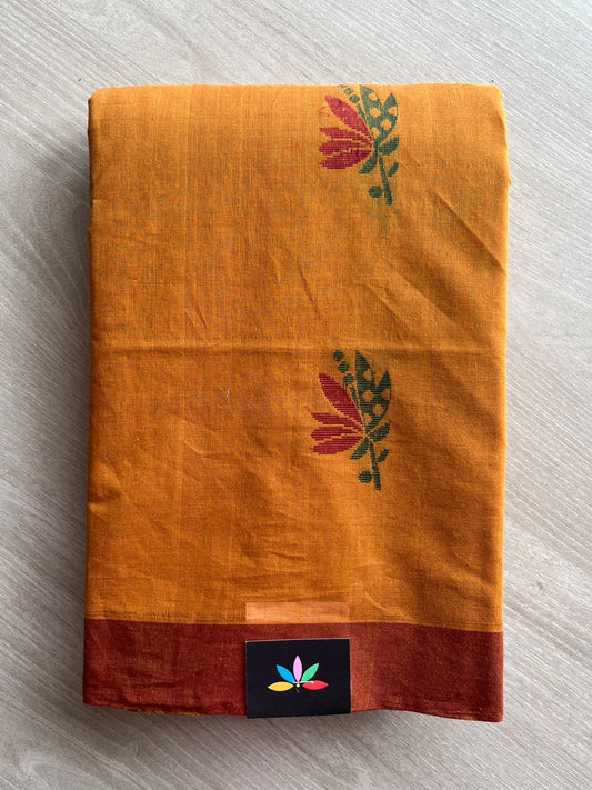 Handloom Fine Cotton Saree with Contrast Pallu and Blouse - 26632