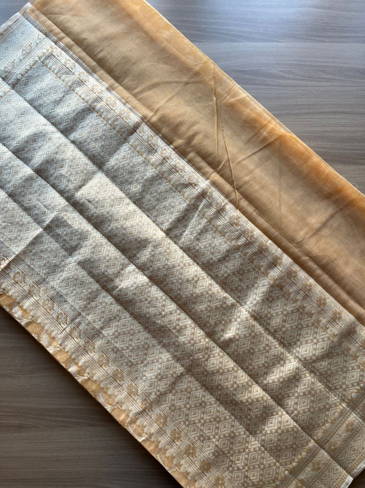 Handloom Banarasi Cotton Saree -13718