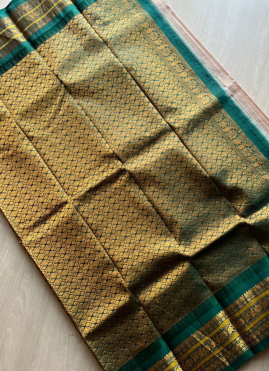 Handwoven Gadwal Pure Silk Saree (Beige)-3895