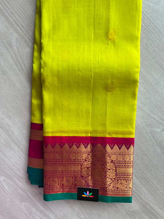 Parrot Green & Combined Pink-Purple Korvai Border Silk Cotton Saree -29233